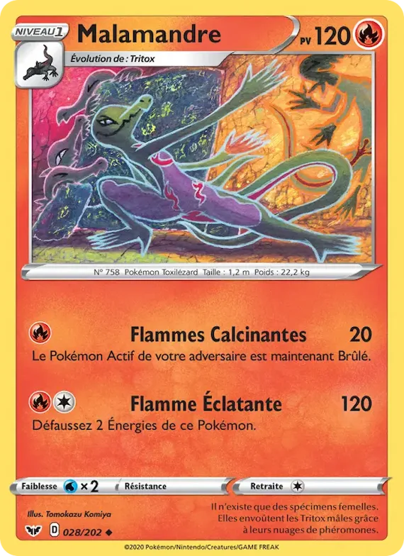 Malamandre 28 – Épée et Bouclier