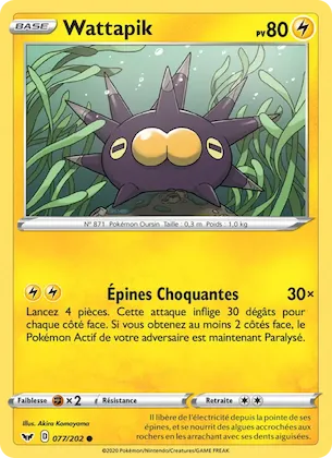 Wattapik n° 77 – Épée et Bouclier