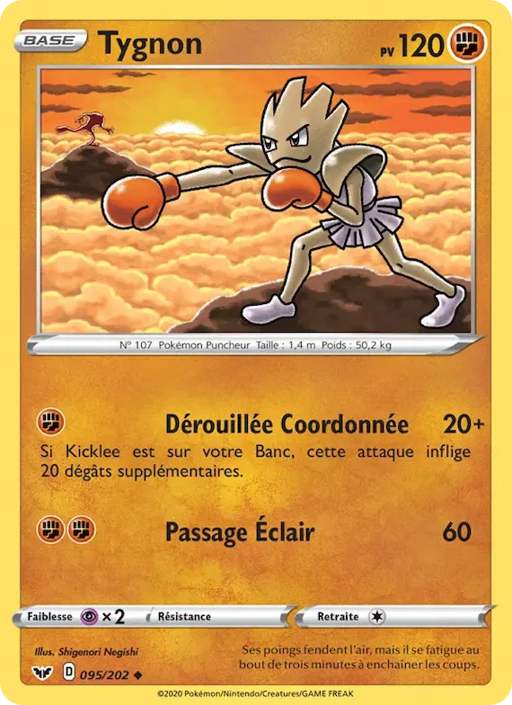 Tygnon 95 – Épée et Bouclier