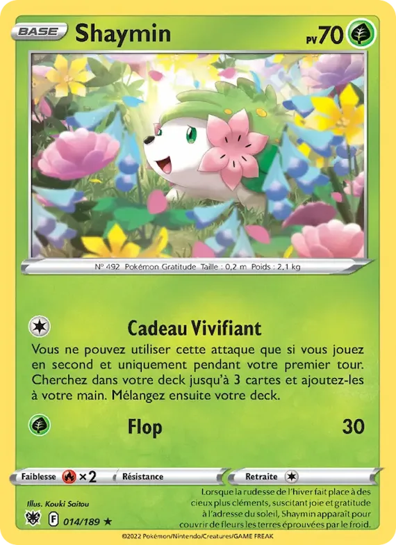Shaymin 14 – Astres Radieux