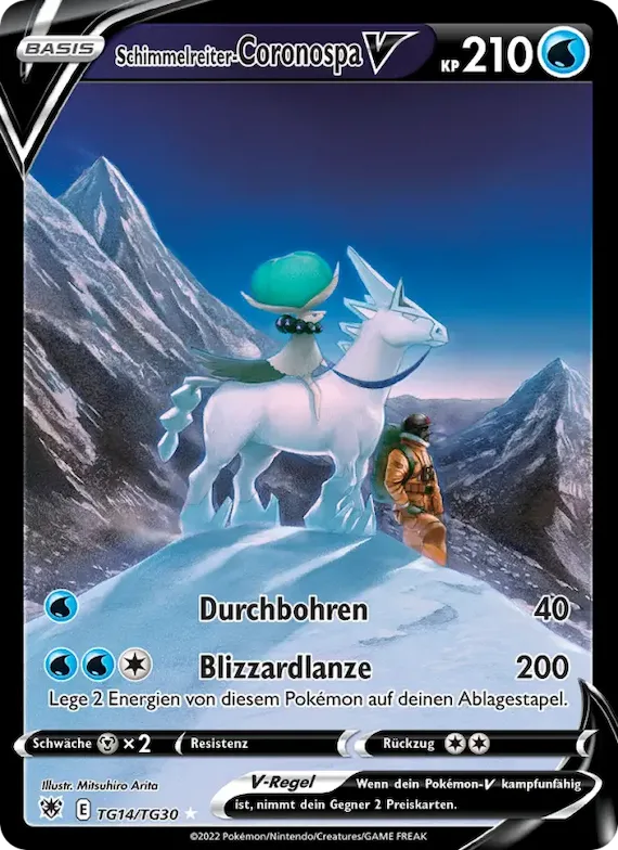 Schimmelreiter-Coronospa V TG14 – Astralglanz Trainer-Galerie