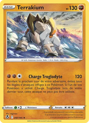Terrakium n° 97 – Tempête Argentée