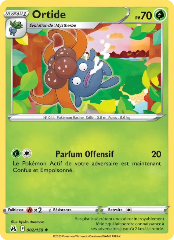 Ortide 2 – Zénith Suprême