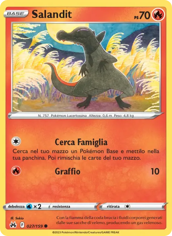 Salandit 27 – Zenit Regale