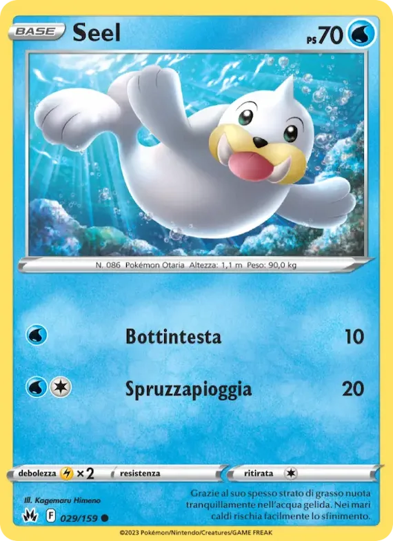 Seel 29 – Zenit Regale