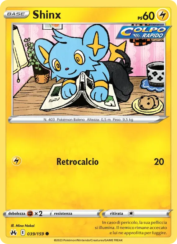 Shinx 39 – Zenit Regale