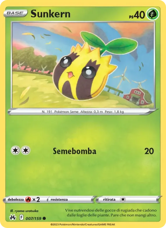 Sunkern 7 – Zenit Regale