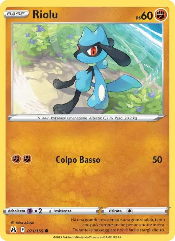 Riolu 71 – Zenit Regale