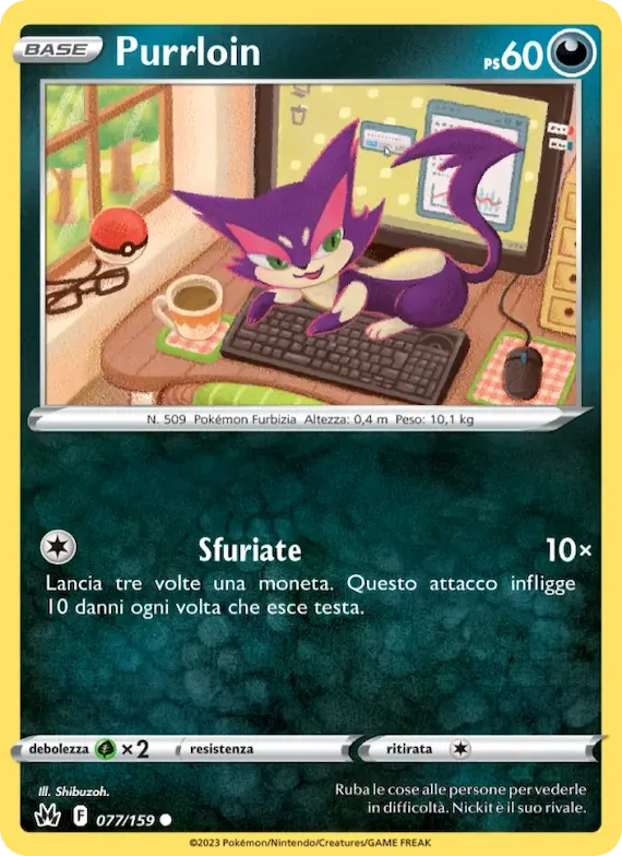 Purrloin 77 – Zenit Regale
