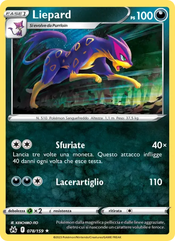 Liepard 78 – Zenit Regale
