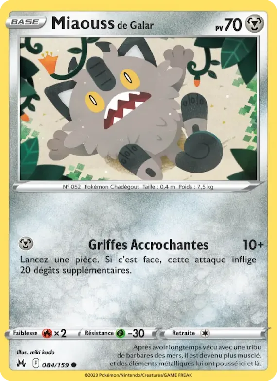 Miaouss de Galar 84 – Zénith Suprême