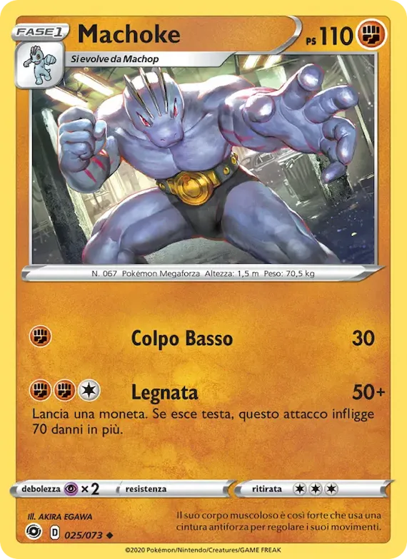 Machoke 25 – Futuri Campioni
