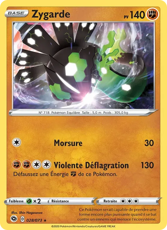 Zygarde 28 – La Voie du Maître