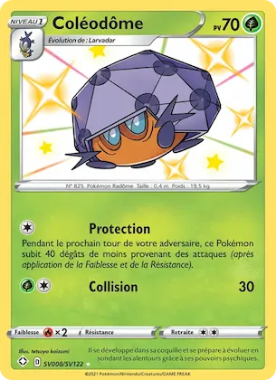 Coléodôme n° SV008 – Destinées Radieuses Coffre Étincelant