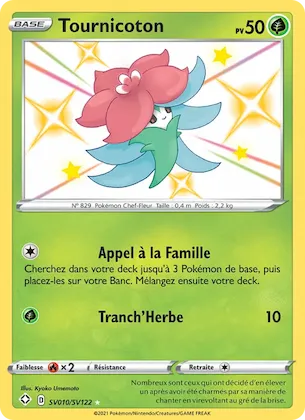 Tournicoton n° SV010 – Destinées Radieuses Coffre Étincelant