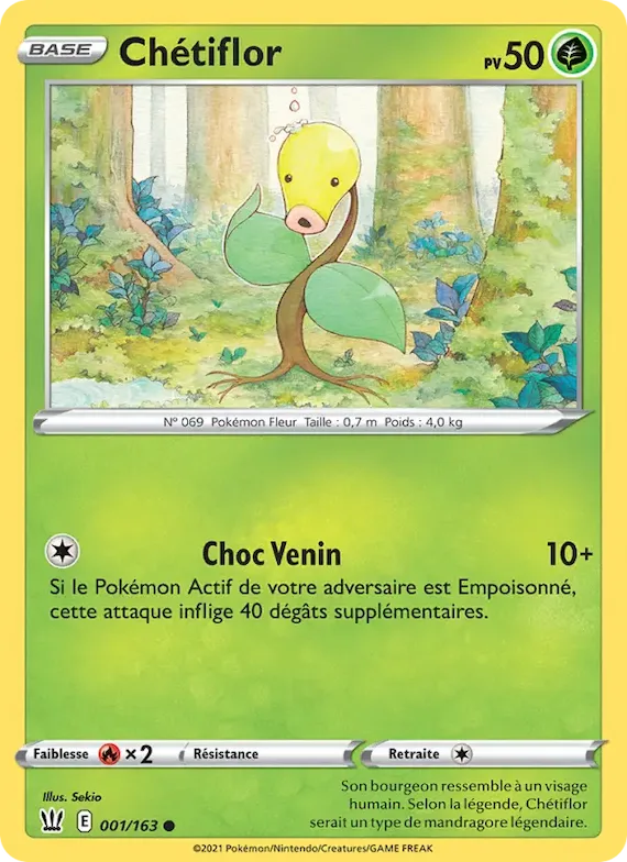 Chétiflor 1 – Styles de combat