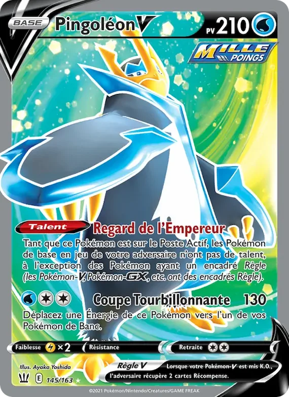 Pingoléon V 145 – Styles de combat