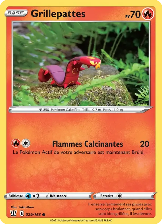 Grillepattes 29 – Styles de combat