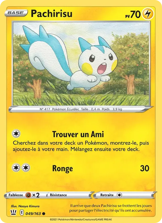Pachirisu 49 – Styles de combat