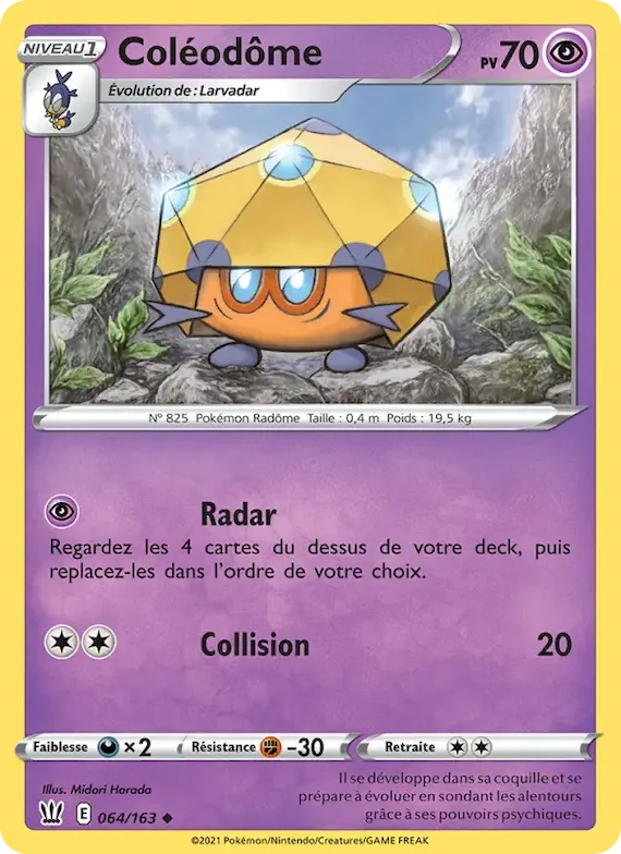 Coléodôme 64 – Styles de combat
