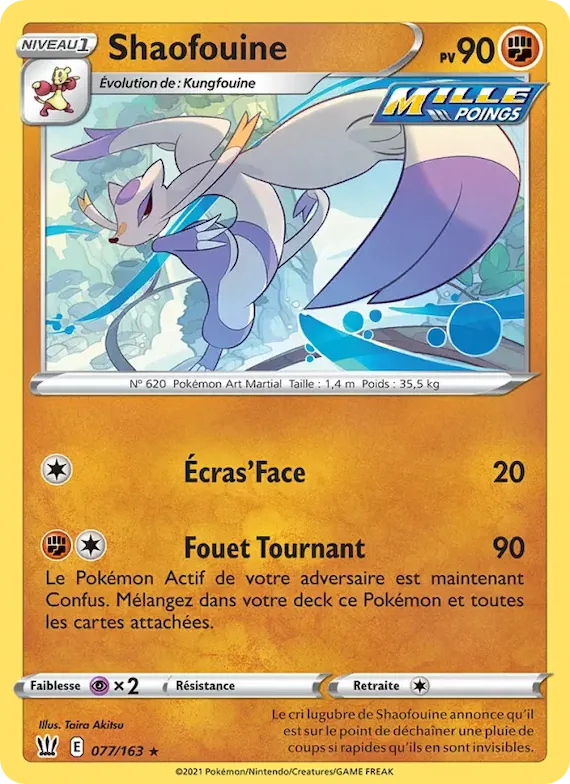 Shaofouine 77 – Styles de combat