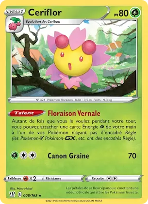 Ceriflor n° 8 – Styles de combat