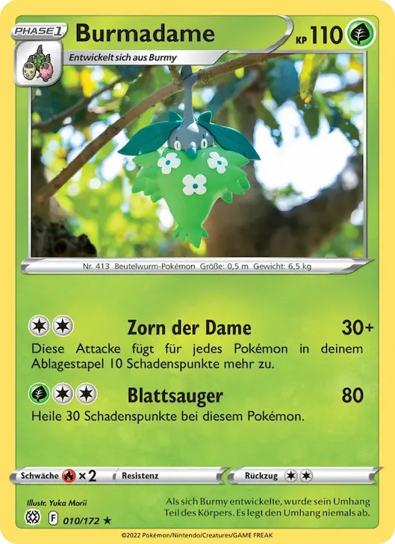 Burmadame 10 – Strahlende Sterne