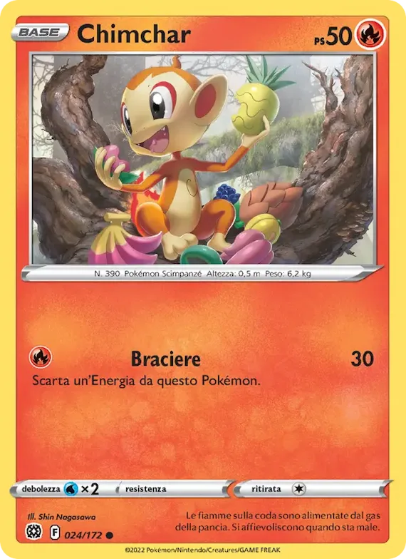 Chimchar 24 – Astri Lucenti