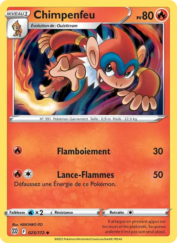 Chimpenfeu 25 – Stars Étincelantes