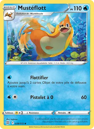 Mustéflott n° 39 – Stars Étincelantes