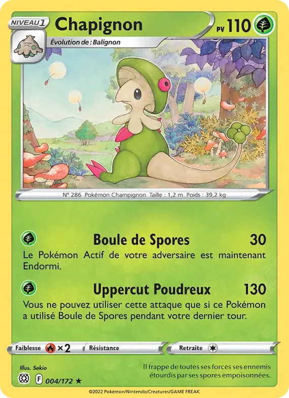 Chapignon 4 – Stars Étincelantes