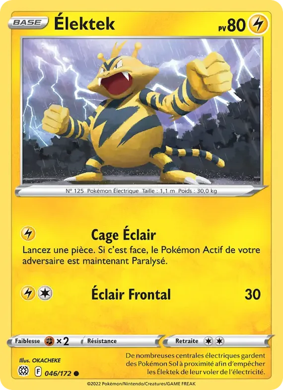 Élektek 46 – Stars Étincelantes