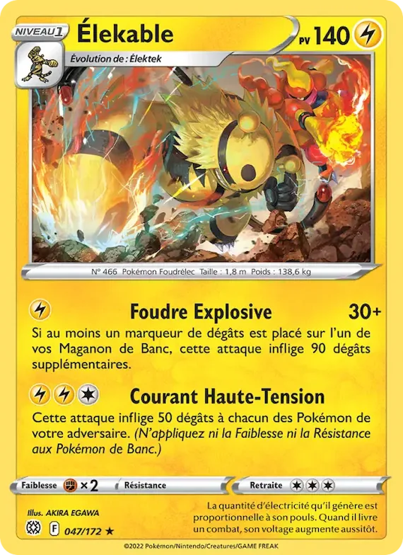 Élekable 47 – Stars Étincelantes