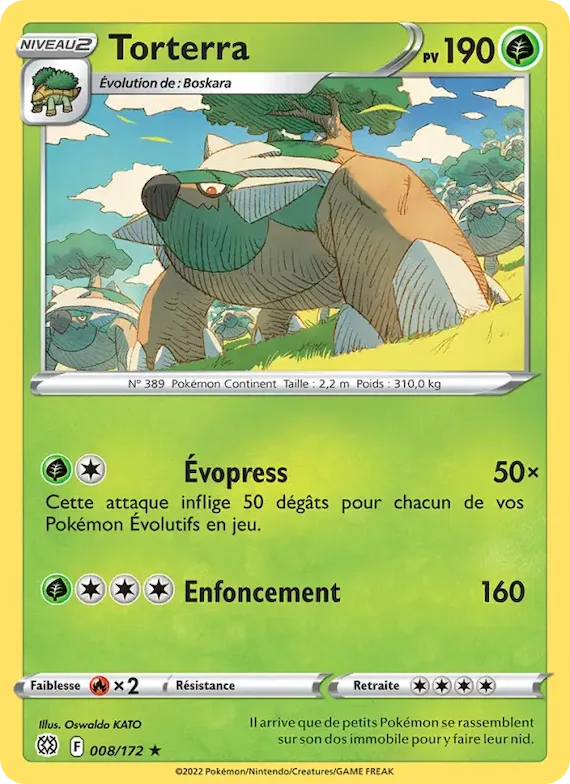 Torterra 8 – Stars Étincelantes