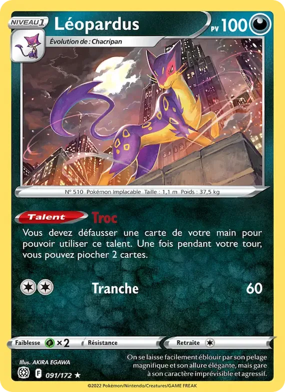 Léopardus 91 – Stars Étincelantes