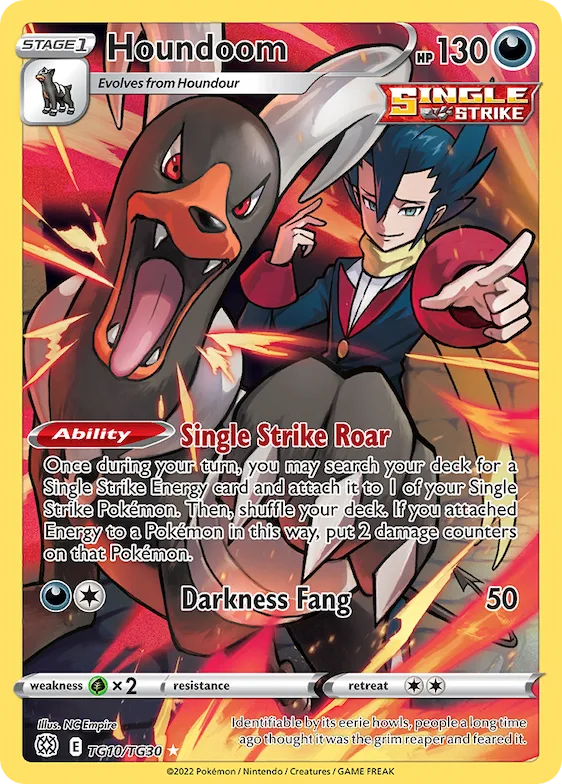Houndoom #TG10 – Brilliant Stars Trainer Gallery