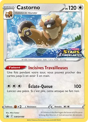 Castorno n° SWSH188 – Promo SWSH