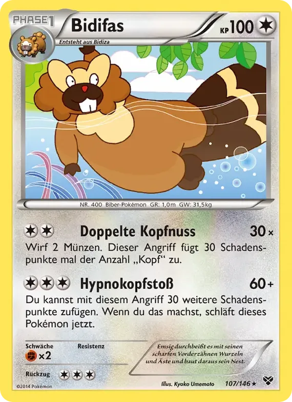 Bidifas 107 – XY