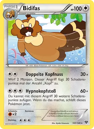Bidifas Nr. 107 – XY