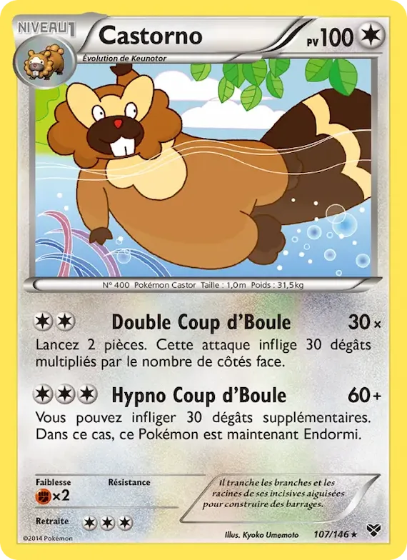 Castorno 107 – XY