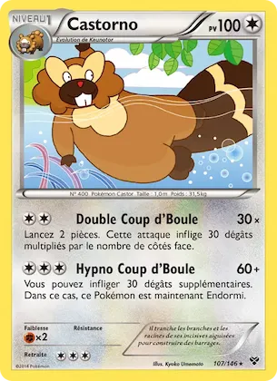 Castorno n° 107 – XY