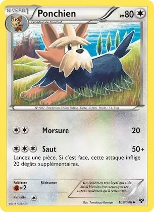 Ponchien n° 109 – XY