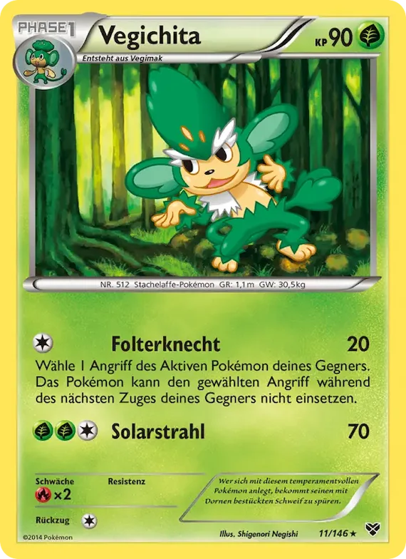Vegichita 11 – XY