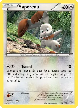 Sapereau n° 111 – XY