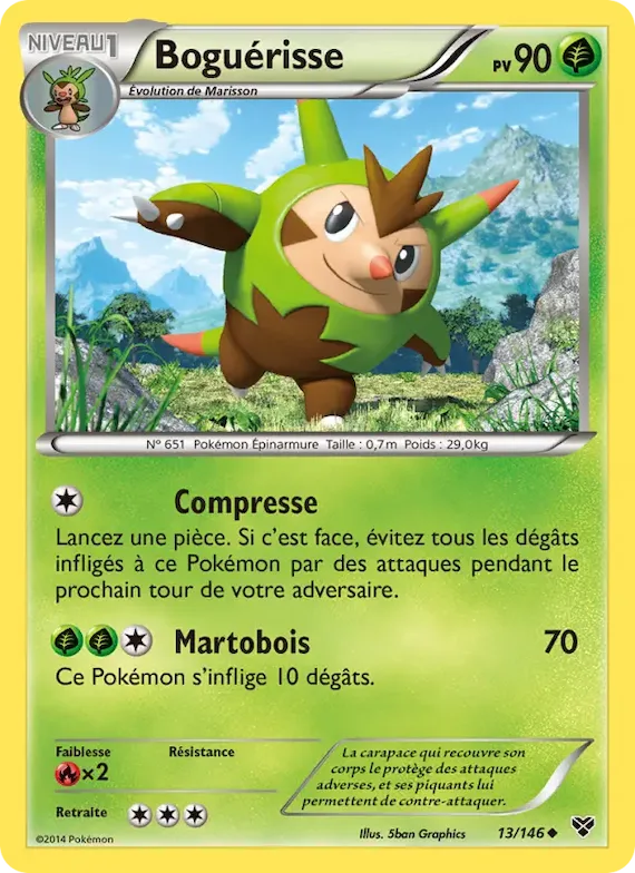 Boguérisse 13 – XY
