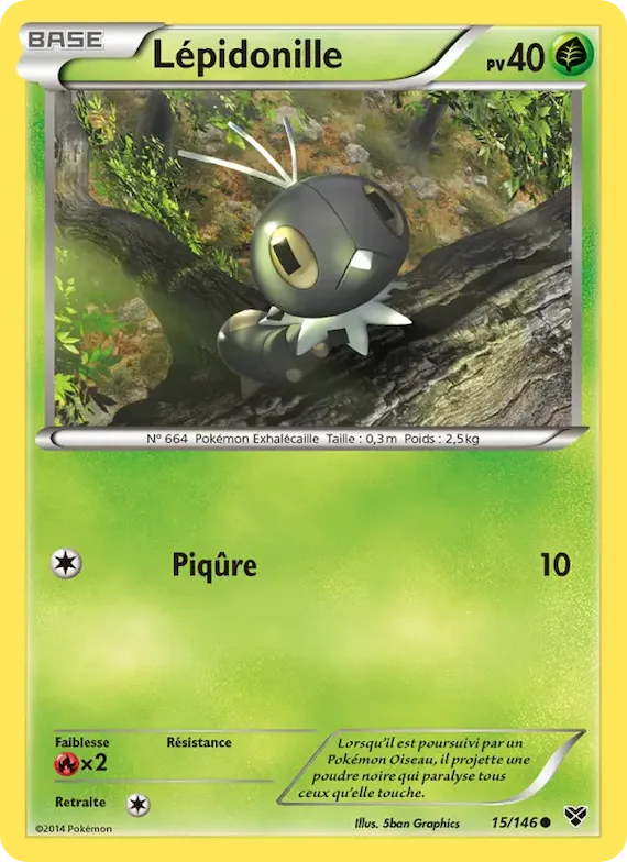 Lépidonille 15 – XY