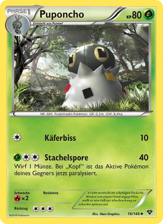 Puponcho 16 – XY
