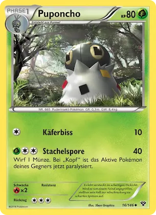 Puponcho Nr. 16 – XY