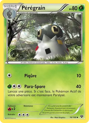 Pérégrain n° 16 – XY