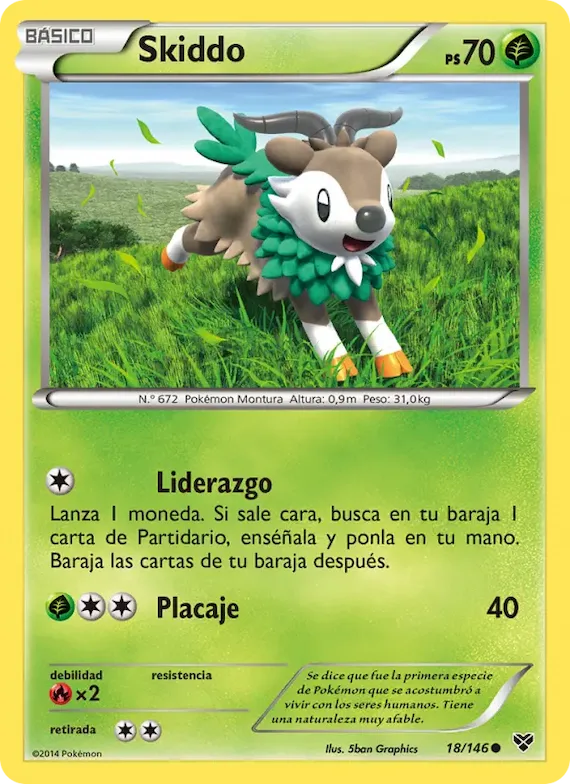 Skiddo 18 – XY